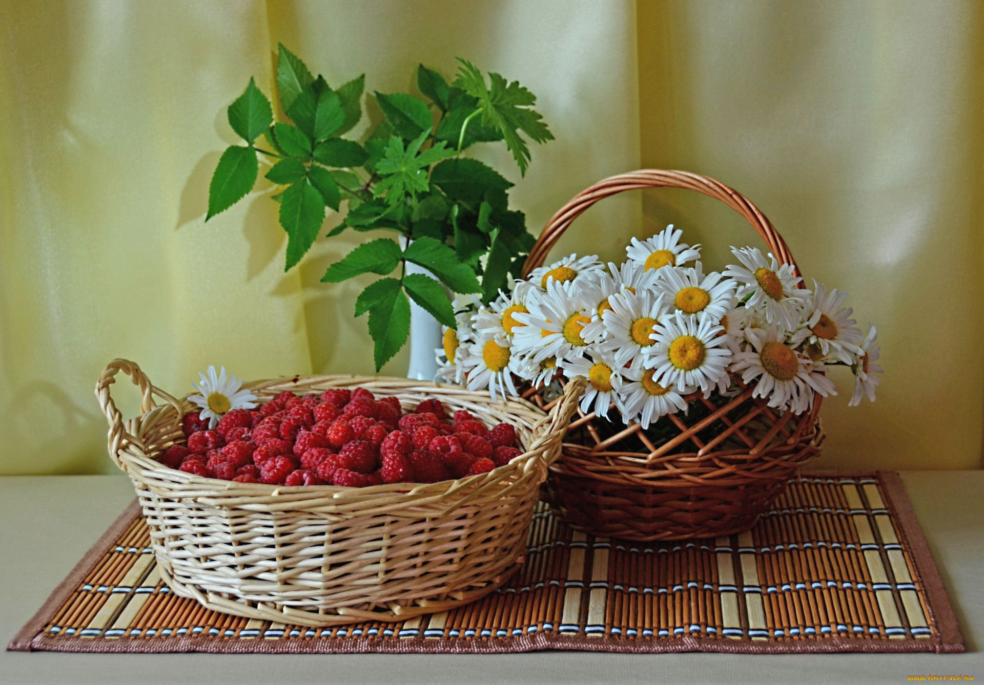 Корзина для счастья. Корзинка с ромашками. Корзинка с ромашками и ягодами. Ромашки с ягодами в корзиночке. Корзина с ромашками и фруктами.